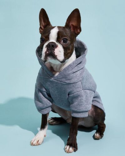 Buzo Basics - Gris, XXL